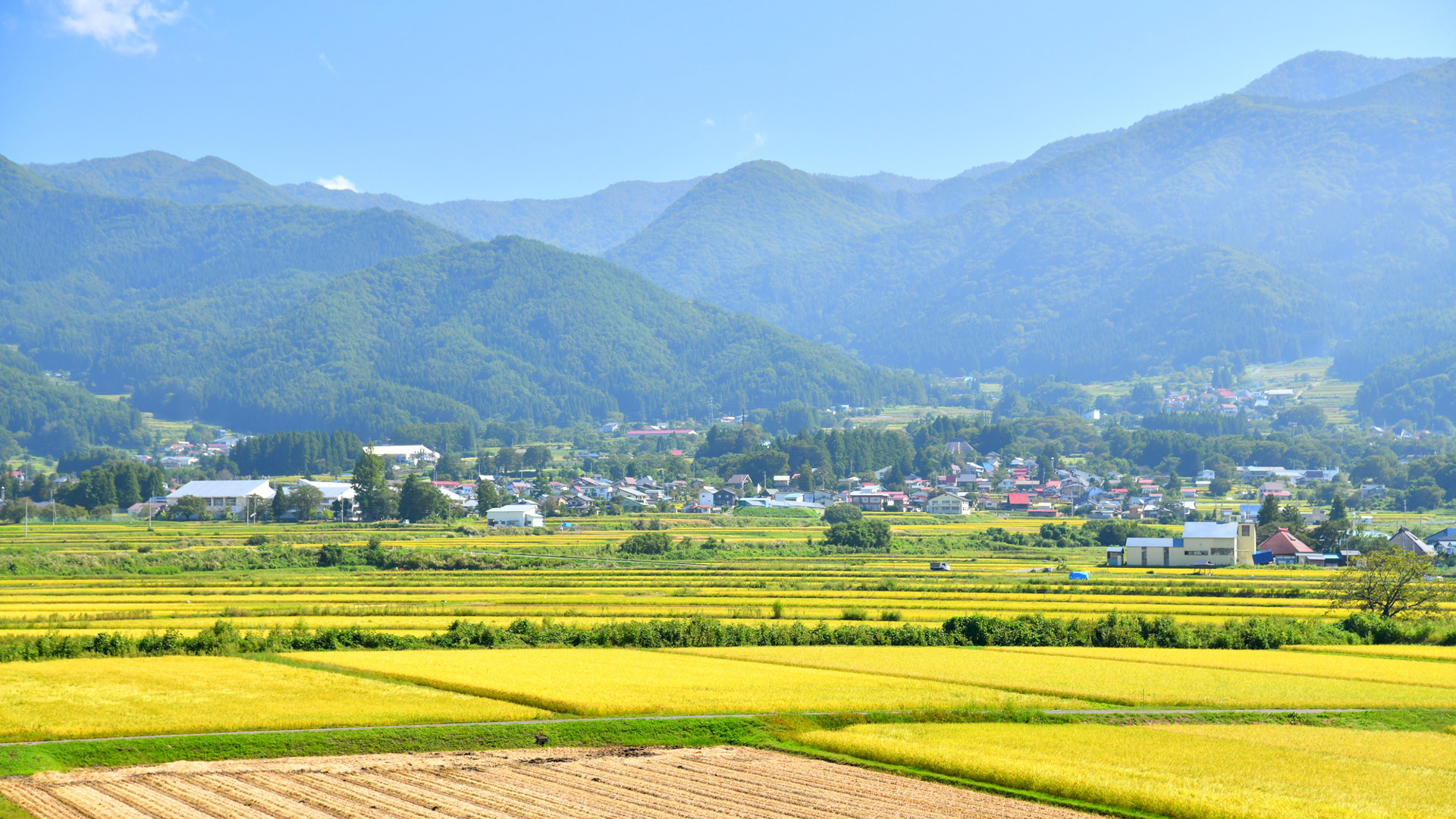 長野県長和町で
自然農に取り組む