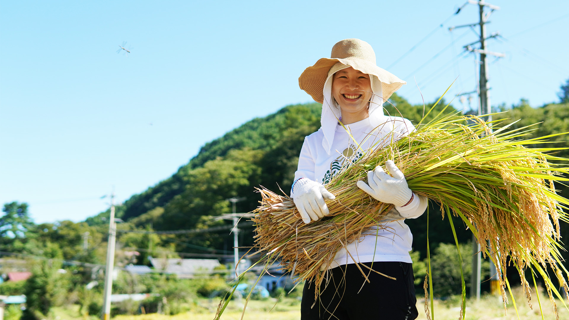 長野県長和町で
自然農に取り組む