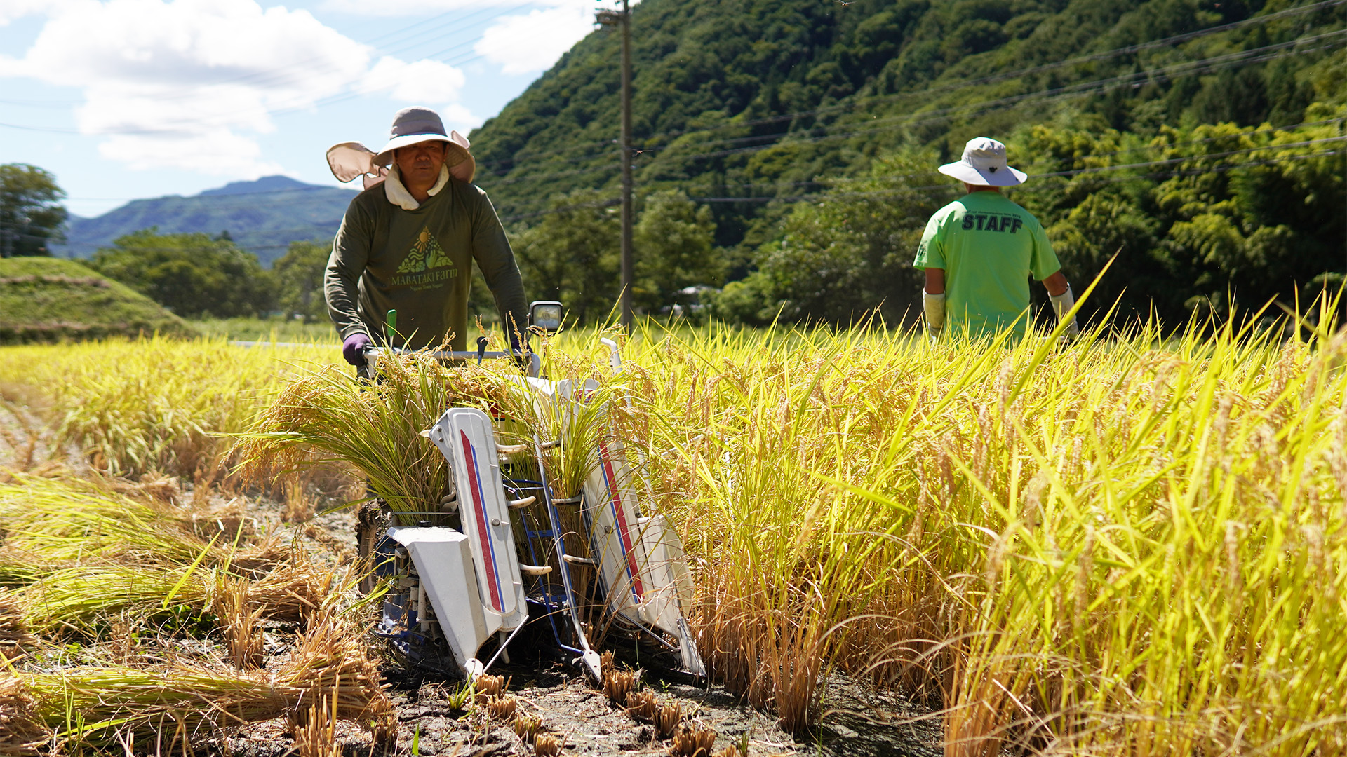 長野県長和町で
自然農に取り組む