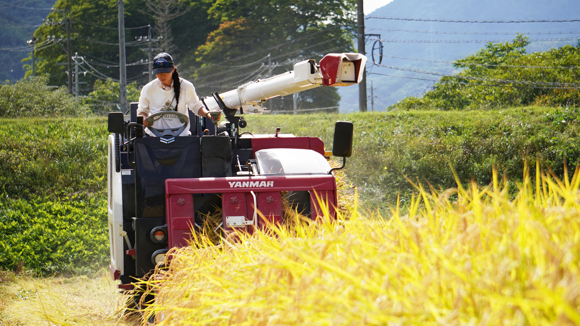 長野県長和町で
自然農に取り組む