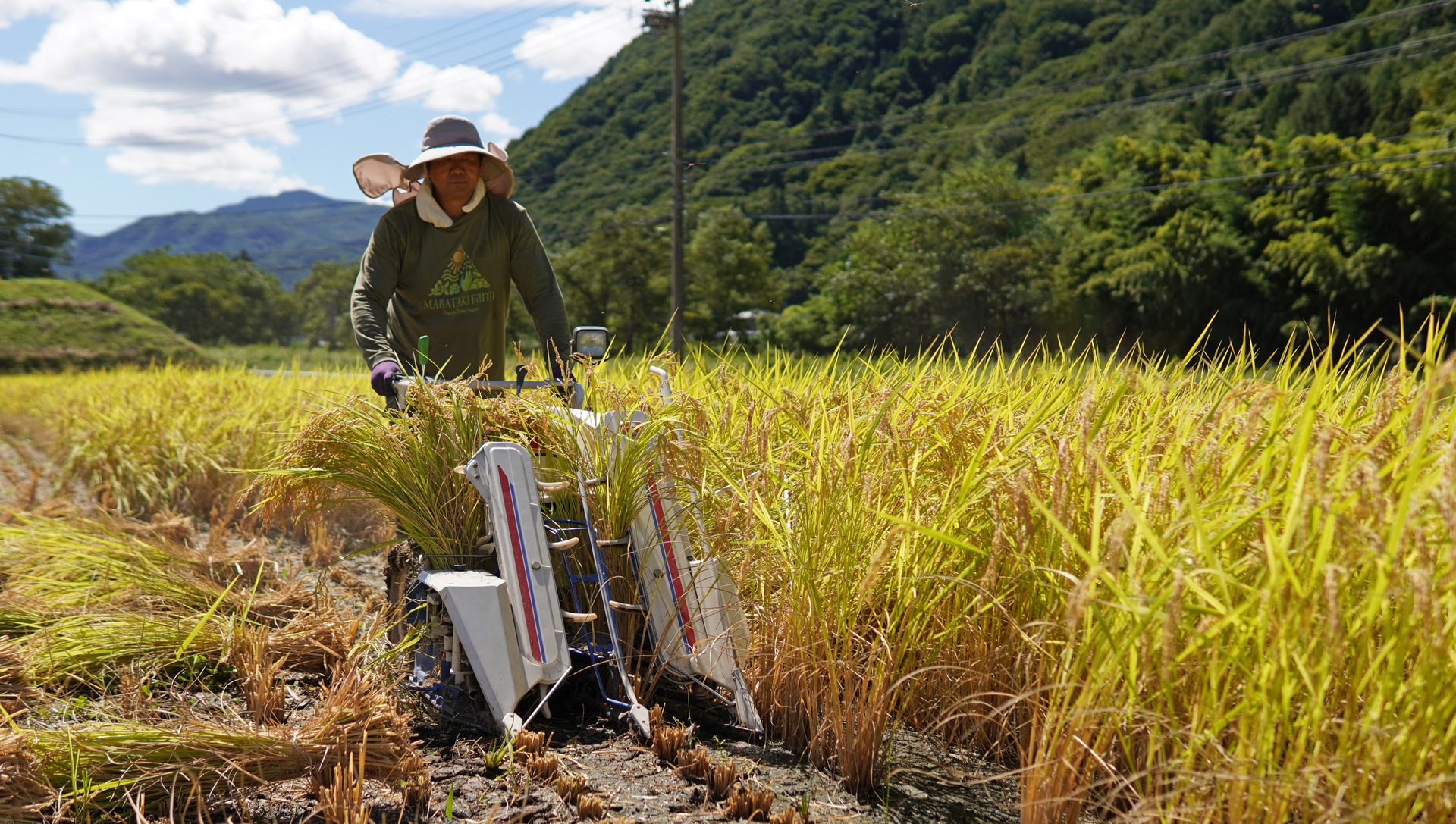 長野県長和町で
自然農に取り組む